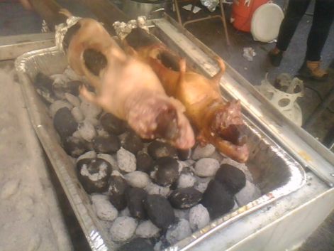 roasted guinea pigs from Ecuadorians, on the street, 117th East Harlem. June 2013.
